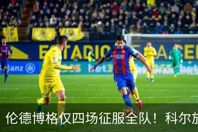 伦德博格仅四场征服全队！科尔放权直指上限，库里大赞全能充满欣赏