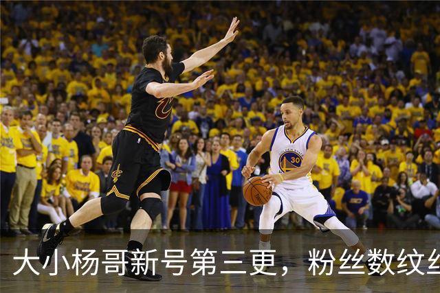 大小杨哥新号第三更，粉丝数纹丝不动