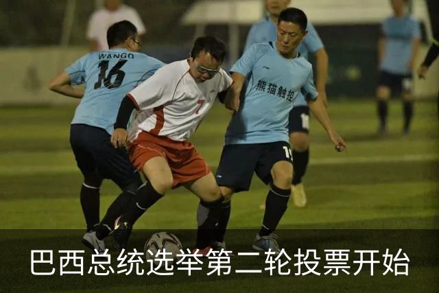 巴西总统选举第二轮投票开始