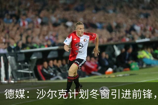 德媒：沙尔克计划冬窗引进前锋，左后卫东科尔可能离队
