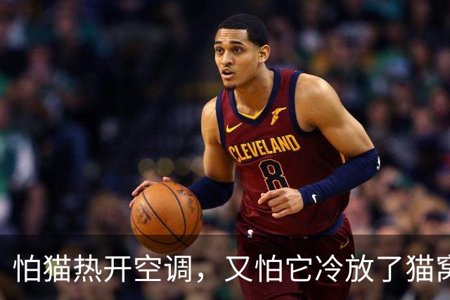 怕猫热开空调，又怕它冷放了猫窝，结果一看监控，绝了！