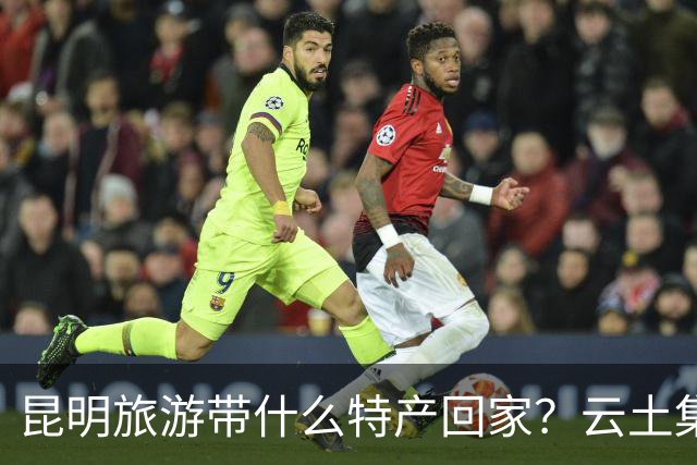 昆明旅游带什么特产回家？云土集云南伴手礼选购建议