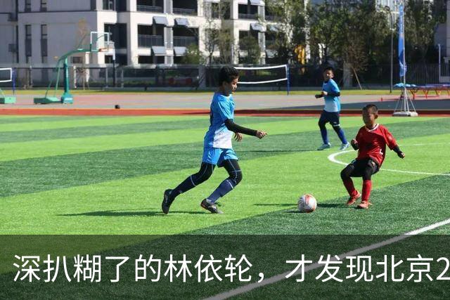 深扒糊了的林依轮，才发现北京2栋楼、1.8亿一幅画，只是冰山一角