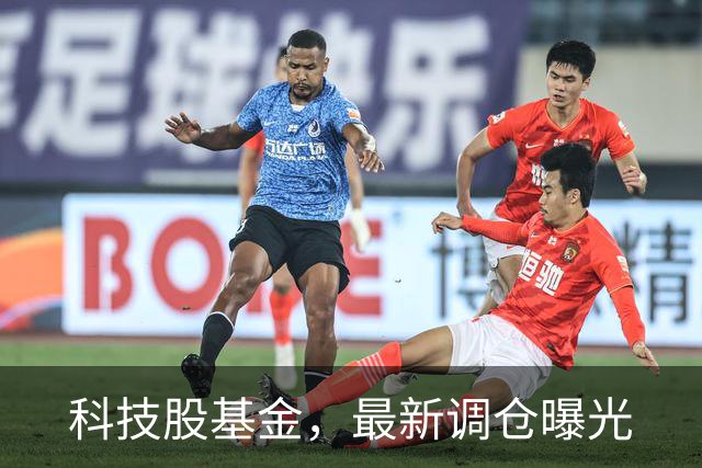 科技股基金，最新调仓曝光