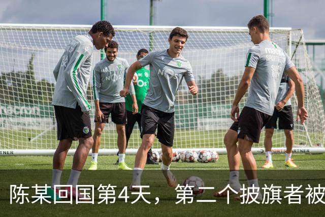 陈某回国第4天，第二个披旗者被揪了出来！现形后想销号赶紧跑路