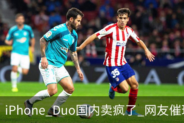 iPhone Duo国内卖疯了 网友催理想汽车何时适配！高管回应